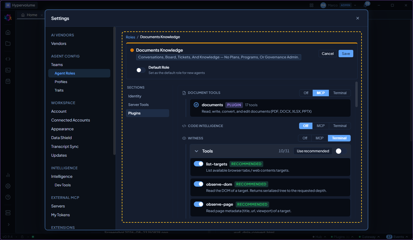 Plugin tools section with Documents, Code Intelligence, and Witness toggles